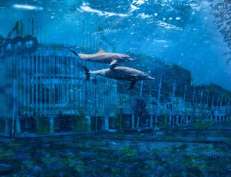 Nel weekend Reggio si colora con il Circuito Off di Fotografia Europea