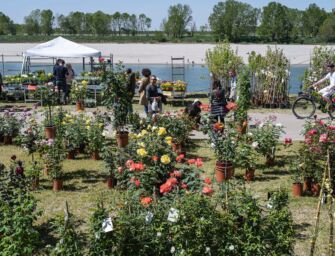Lido Po Guastalla, torna Georgica: festa delle acque e della terra