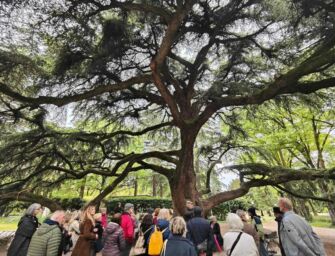 Reggio, visite guidate con il botanico Pellini