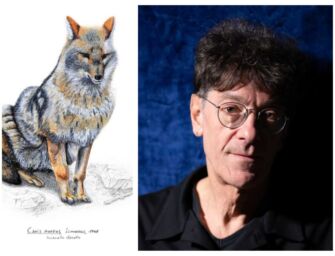 Musei di Reggio. Zamboni (ex Cccp e Csi) presenta il “Bestiario Selvatico”