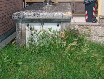 Roncadella, cimitero invaso dalle erbacce