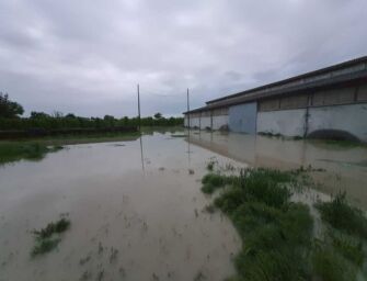 Alluvione in Romagna. Cia-Conad e i soci destinano 100mila euro in solidarietà