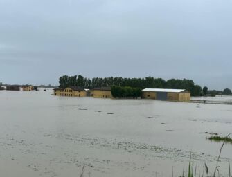 Alluvione. Da estirpare 10mln di alberi da frutto, danni per 1,5mld