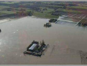 Coldiretti: maltempo, aiuti per 115mila imprese, 15% agricole