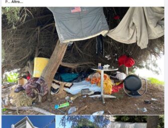 Lega: a Reggio ci sono zone fuori controllo