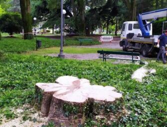 Reggio. Alberi abbattuti ai Giardini pubblici, il Comune ha promesso di rimpiazzarli