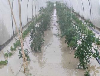 Grandinate nella Bassa reggiana con bombe d’acqua a Boretto