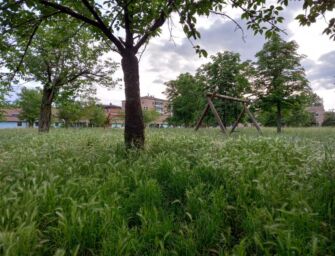 Erba incolta, al parco Ferrari la giungla inghiotte panchine e giochi