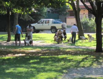Bando deserto e cattivi cittadini: il parco delle caprette è senza… caprette (e pure senza pony)