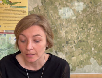 Reggio. Estensione Ztl, Bonvicini: ecco perché non è contro il centro