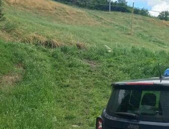 Baiso. Infortunio sul lavoro: operaio scivola nel campo e ruzzola per 15 metri