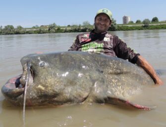 Catturato il ‘mostro’ del Po: ci sono voluti 23 anni, è un pesce gatto di quasi 3 metri