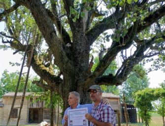 A Villanova di Reggiolo il 2 luglio torna la Festa della Paesaggezza