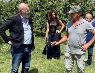 Grandine. “Roma sia veloce nei rimborsi”