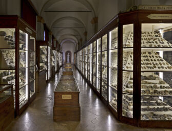 Rubati 8 reperti di Gaetano Chierici dal Palazzo dei Musei di Reggio