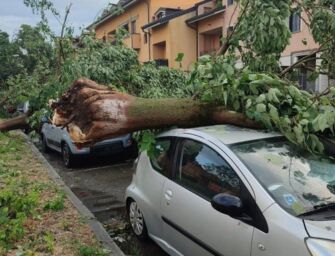 Nubifragio su Milano: alberi caduti, tetti scoperchiati. Temporali con grandinate anche in Emilia