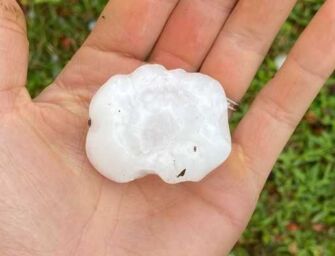 Bufera di grandine annienta le coltivazioni della Bassa reggiana