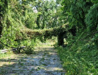 Ancora danni da maltempo oggi sull’Alto Appennino modenese