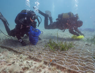 Coopservice per riforestazione marina