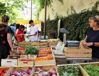 Reggio, dal 27 agosto quattro domeniche con il mercatino bio ai Chiostri di San Pietro