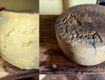 Forme di formaggio invase da insetti, i Nas chiudono caseificio reggiano