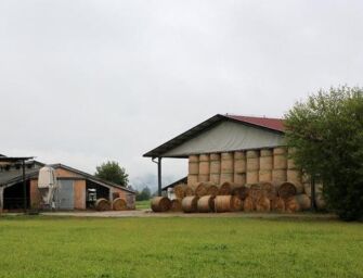 Bibbiano. Stroncato da malore, 74enne trovato morto nell’azienda agricola
