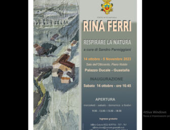 Al Palazzo Ducale di Guastalla inaugura la mostra “Respirare la natura”