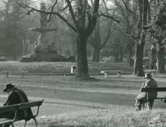 12 ippocastani ai Giardini pubblici di Reggio