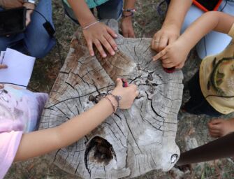 “PER Play, Explore, Research”. Un progetto di Reggio Children e Fondazione Lego