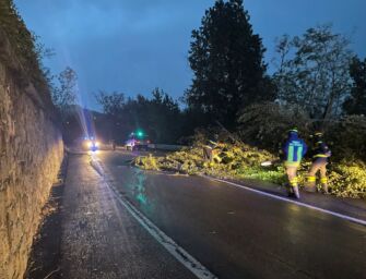 Modena. Ponti chiusi, Panaro e Secchia in piena