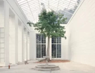 Capodanno in Emilia-Romagna con i grandi della fotografia