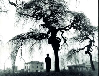 Reggio, ultimi giorni per la mostra su Zavattini tra parola e immagine