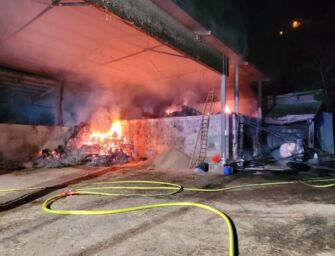 Sestola, 140 bestie salvate dalle fiamme