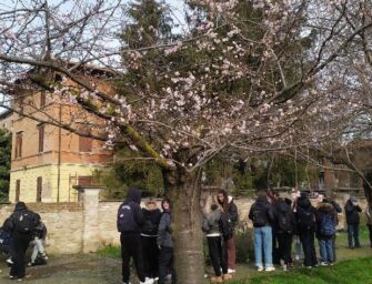 E a Reggio i ciliegi sono già in fiore