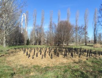 Conclusa la forestazione del bosco urbano di San Prospero a Reggio