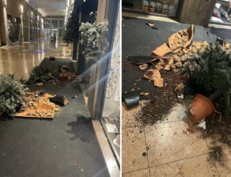 Reggio a Capodanno tra raid vandalici e scoppio (vietato) di botti