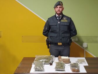 4 kg di droga nei croccantini per cani a Parma