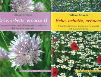 Reggio. Alla scoperta del giardino con il botanico Morelli