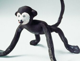 Magnani Rocca, Bruno Munari in 250 opere