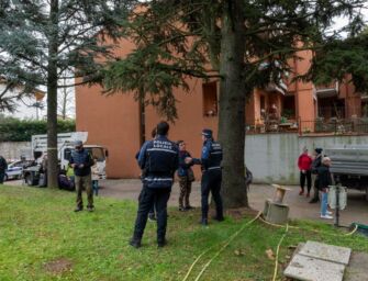 Pellini: salvi gli alberi di Codemondo