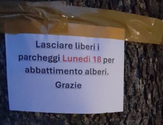 “A Codemondo per fermare le motoseghe”