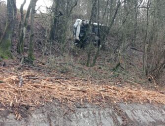 Vetto. Novantenne vola per 5 metri nella scarpata: esce dall’auto illeso