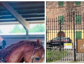 Morta la 13enne colpita dal calcio di un cavallo a San Martino in Rio. Donati gli organi