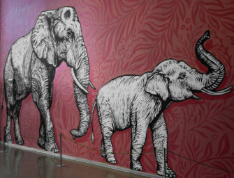 I Petali di Reggio tra il centro commerciale e la galleria d’arte