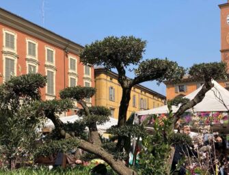 Tornano i colori di Reggio Emilia in fiore nel cuore della città