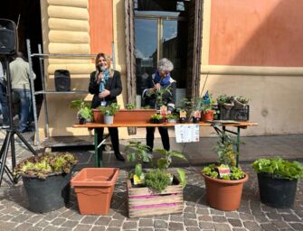 Naturambiente, l’ecofesta torna a Guastalla
