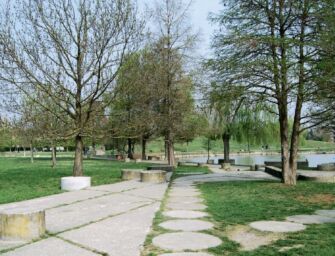 Modena: 16 platani malati da abbattere