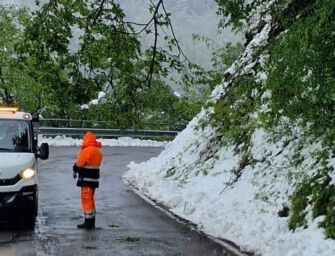 Appennino emiliano: nevica ancora, a quota mille accumuli oltre 30 cm (video e foto)