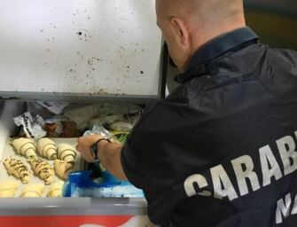 Nas nei bar delle aree di servizio: trovati ragni e alimenti scaduti