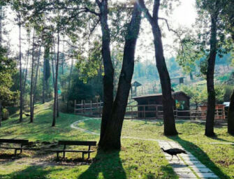 Reggio. Nuova gestione alla Pinetina di Vezzano con Il Melograno
